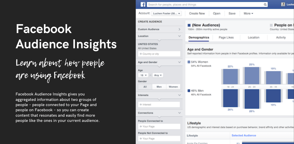 Facebook audience insights